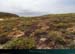 20150715_houat_plagetreachsalus1
