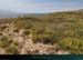 20150715_houat_plagetreachsalus4