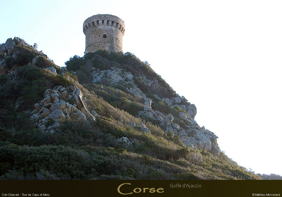20080401_tg01mm