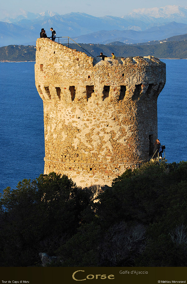 20080401_tg06mm
