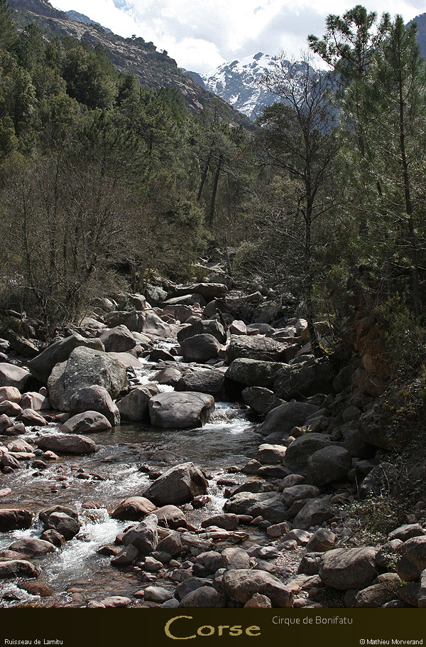 20080406_img_1539