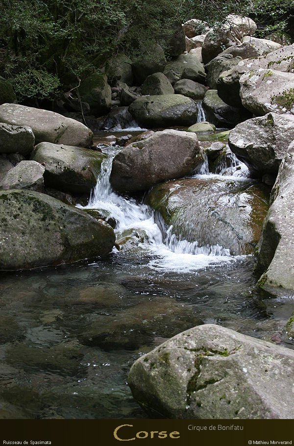 20080406_img_1585