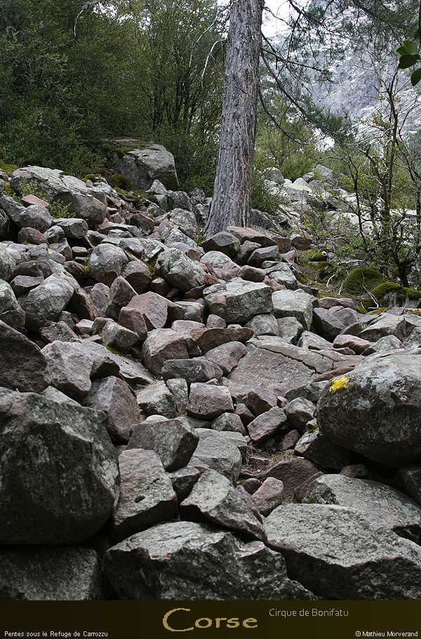 20080406_img_1674