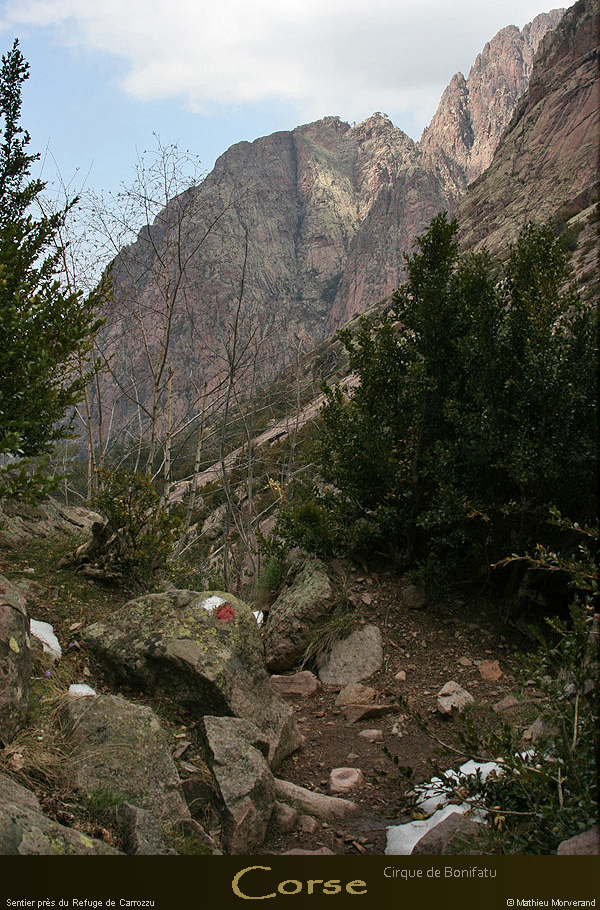 20080406_img_1747