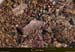 20080406_img_1824