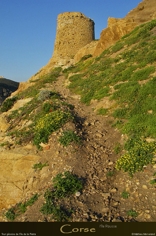 20080406_pietratou04