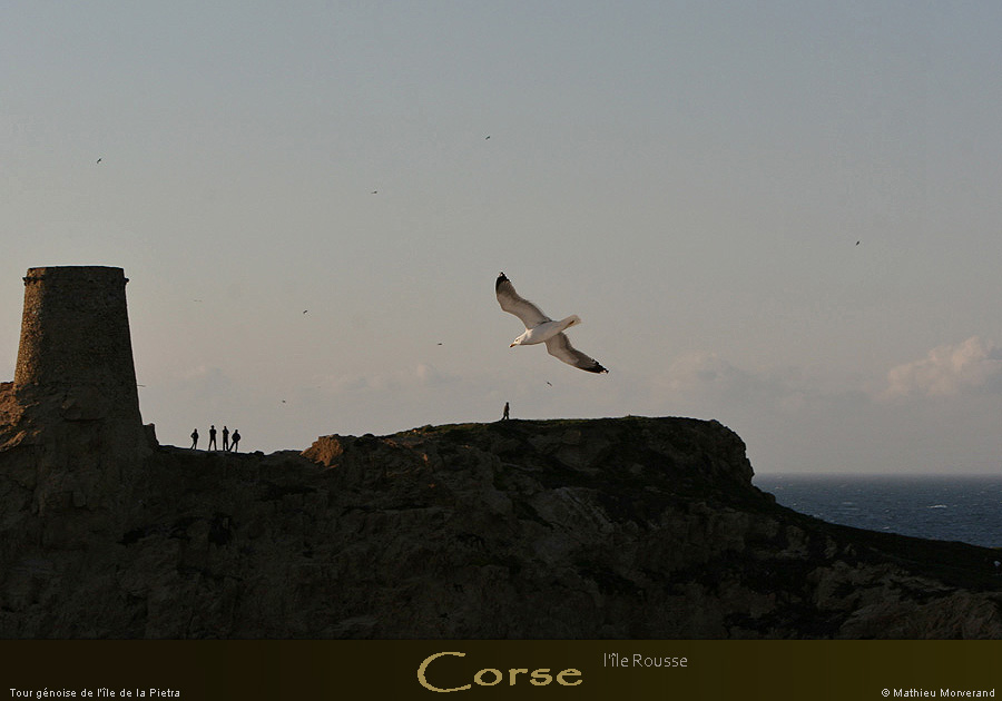 20080406_pietratou07