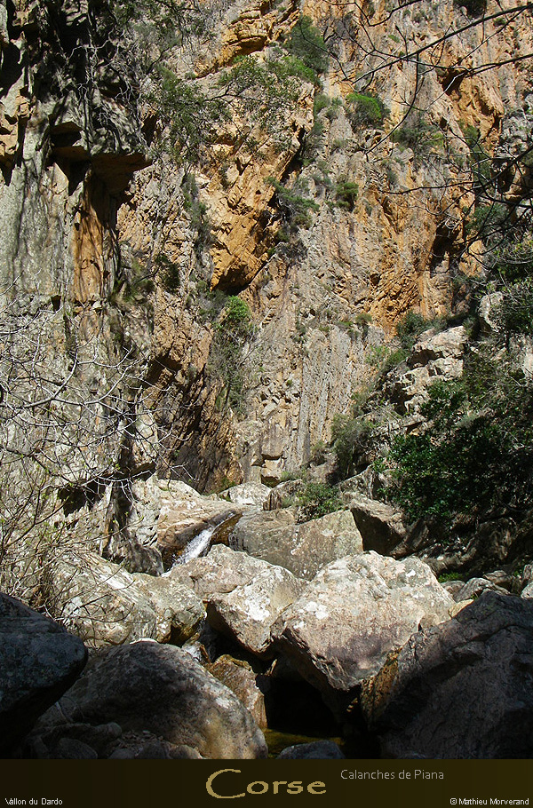 20080405_imgp3687