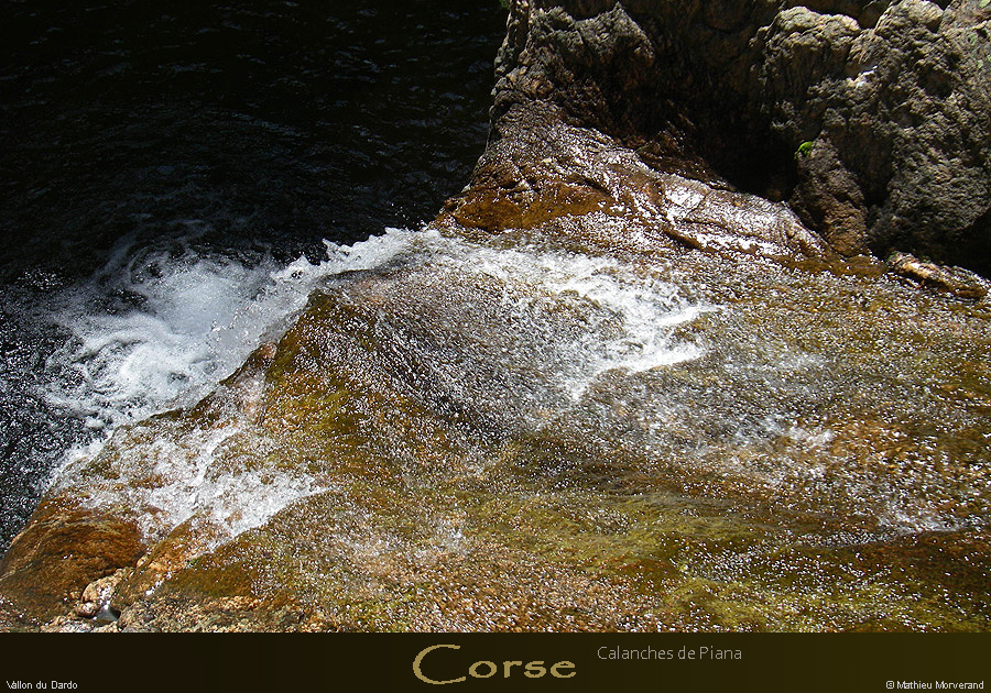 20080405_imgp3701