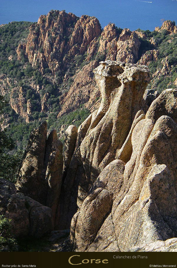 20080405_imgp3821