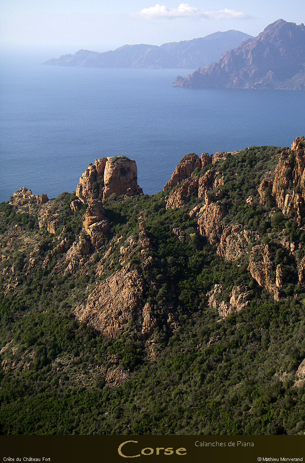 20080405_imgp3838