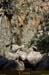 20080405_imgp3687