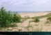20010727_moliets_dunes4