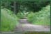 20050612_foretsidf_004