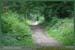 20050612_foretsidf_005