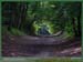 20050626_stcloud_foretsidf_014