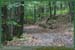 20050925_foretsidf_031