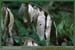 20050925_foretsidf_034