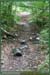 20050925_foretsidf_035