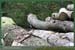 20051030_marly_01