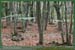 20051030_marly_03