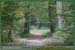 20051030_marly_07