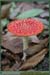 20051030_marly_09