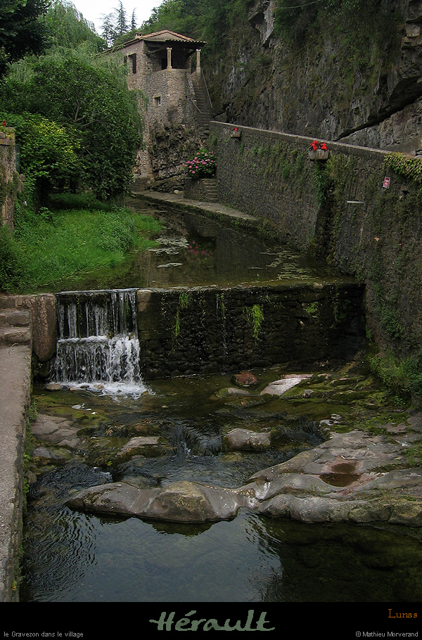 20070620_085