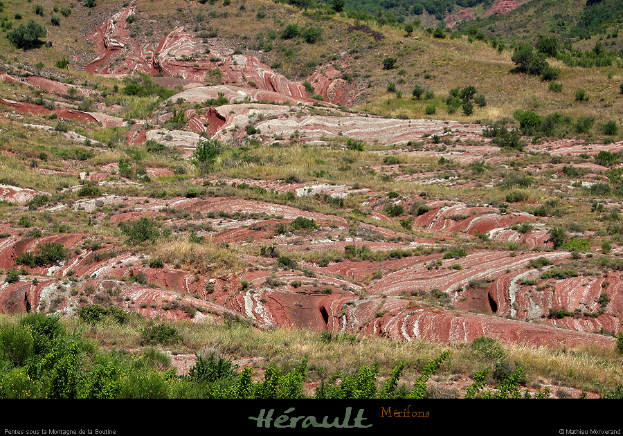 20070621_059