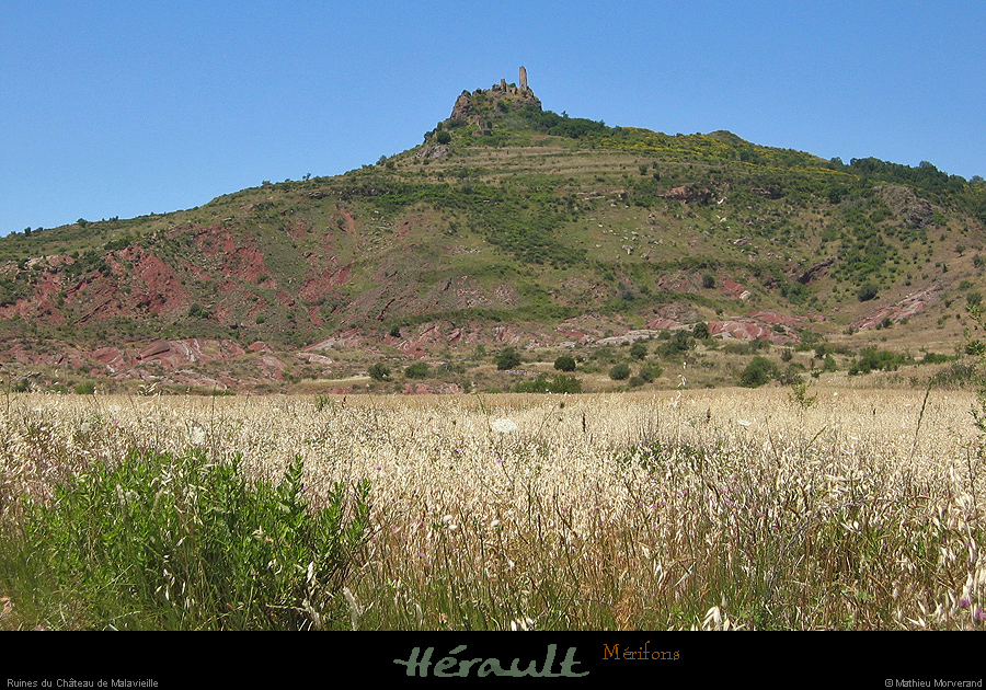 20070621_066