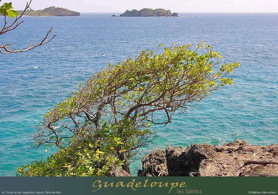 20010309_lessaintes_tdb_lacocheetlesaugustins_2