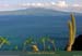 20010305_lessaintes_soufrieredetdh_1