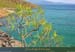 20010305_lessaintes_tdh_baiedemarigot_02