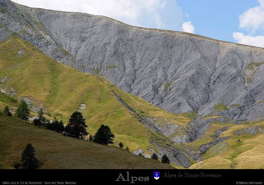 20030806_bonette_nord_serredechalannette_5