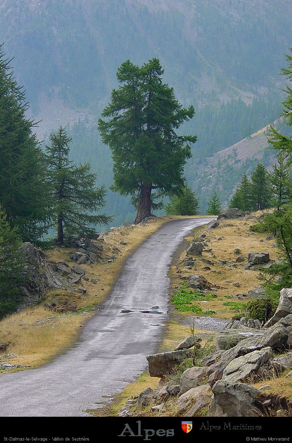 20030806_bonette_sud_vallondesestrieres_rte_3