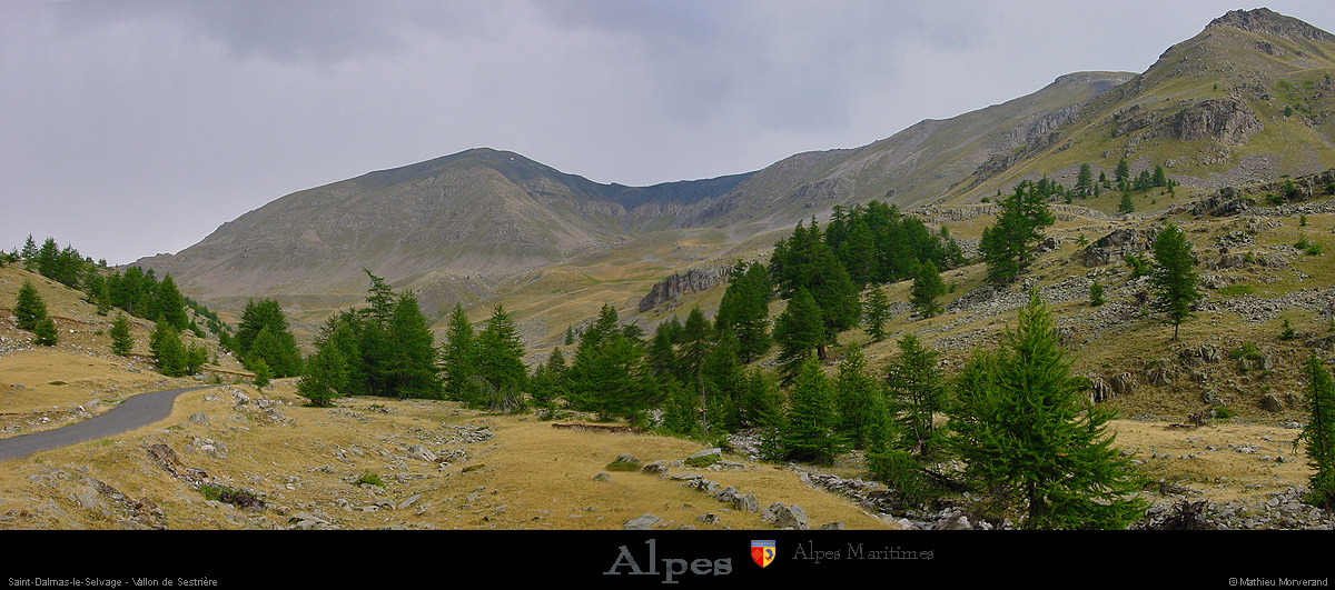 20030806_bonette_sud_vallondesestrieres_rtepano2