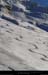 20160120_devoluy_tracesoussommarel1
