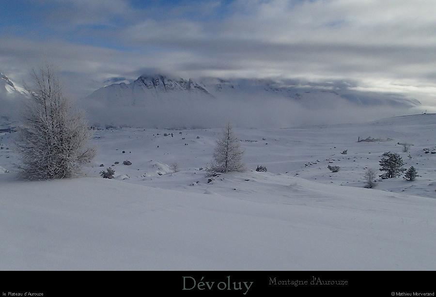 20160119_devoluy_plateaudaurouze1