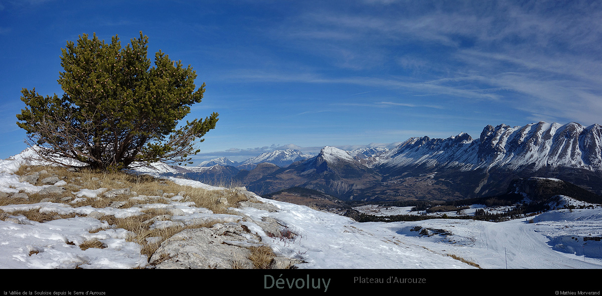 20170221_serreaurouze1