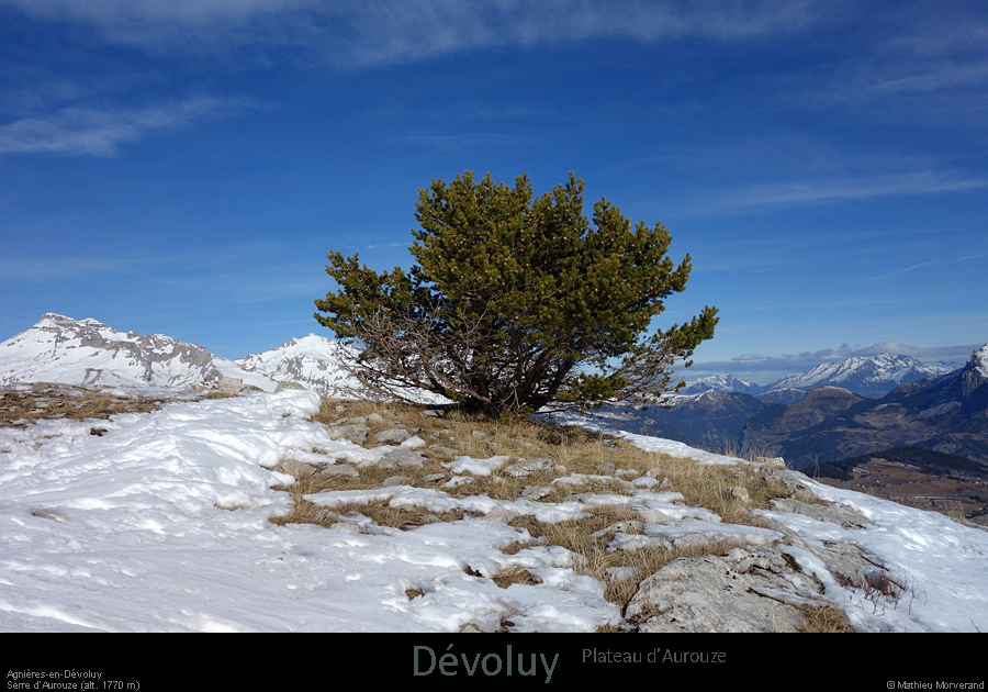 20170221_serreaurouze2