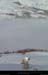 20140131_devoluy_agnieres_cabanerochersblancs