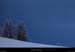 20200301_boisdechagier2
