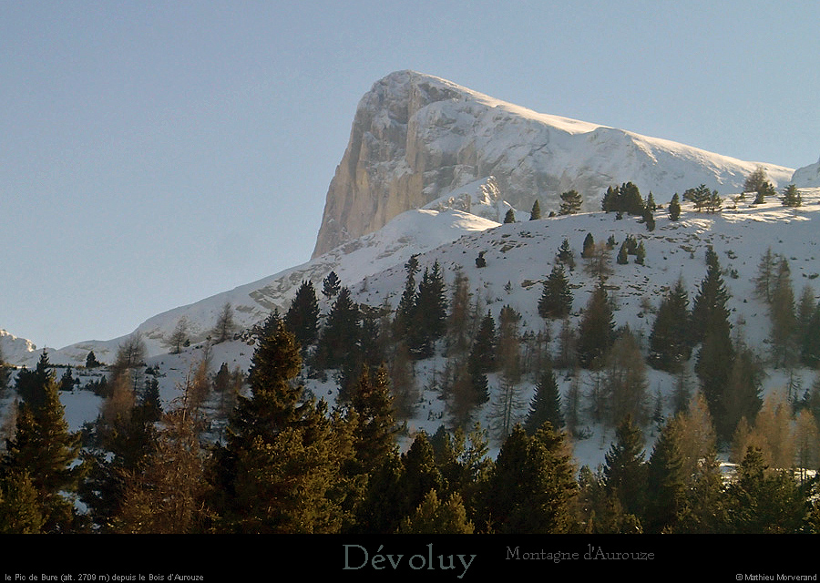 20160121_dedevoluy_picbure_deboisdaurouze