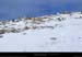 20170223_bure_plateau_lagopede