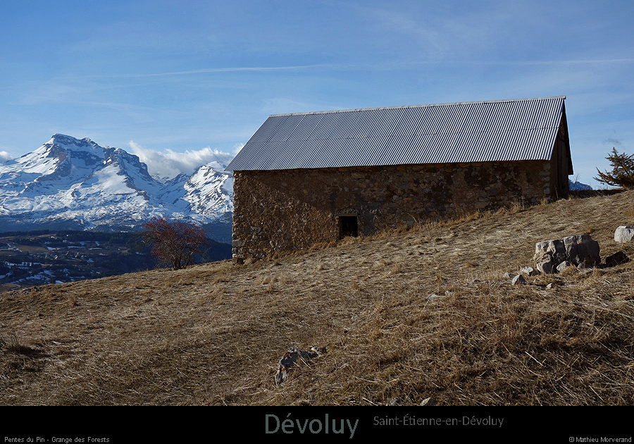 20170221_rtedupin_grangedesforests3
