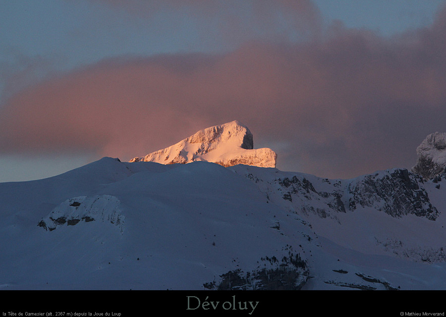 20140128_tetedegarnesierdepuislajoueduloup1