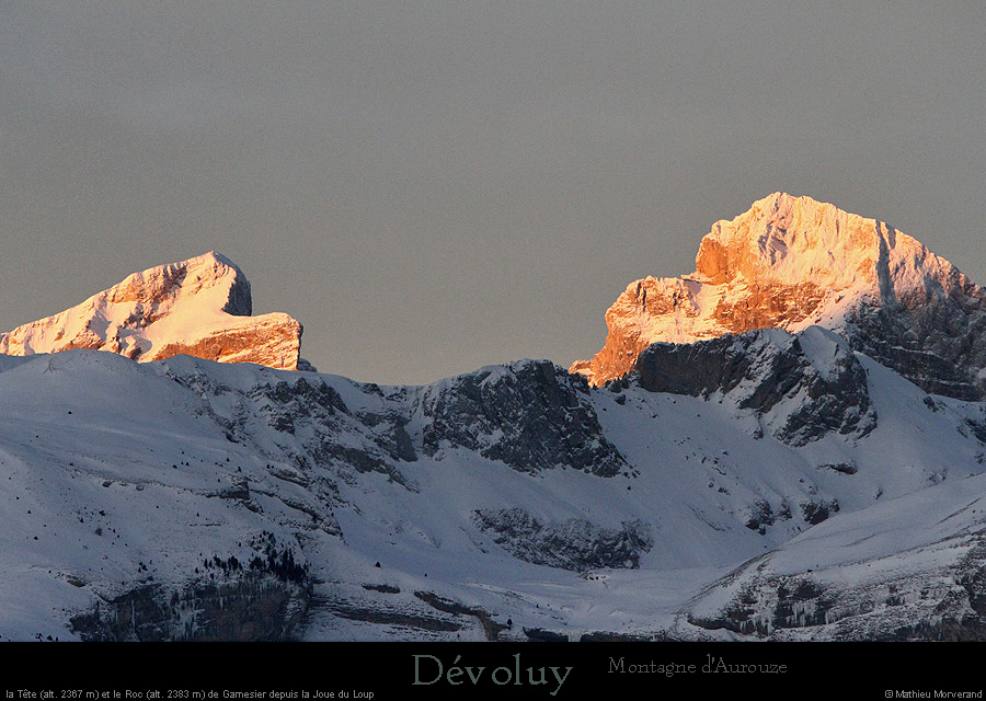 20160122_devoluy_teteetrocgarnesier