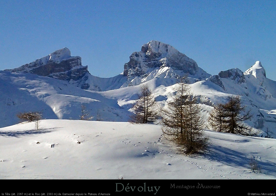 20160122_devoluy_teteetrocgarnesier1