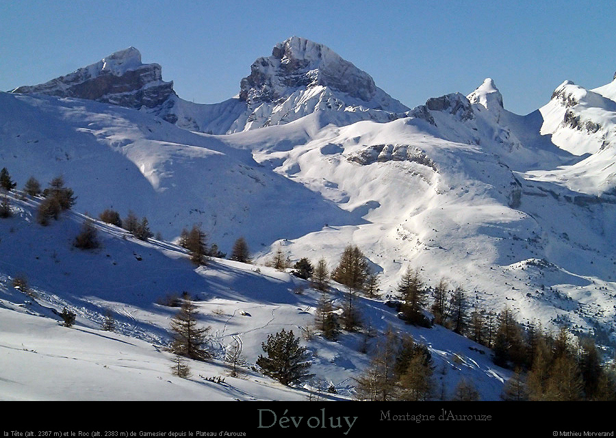 20160122_devoluy_teteetrocgarnesier2