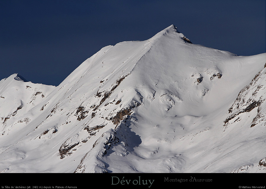 20160122_tetevacheres_dedevoluyaurouze1